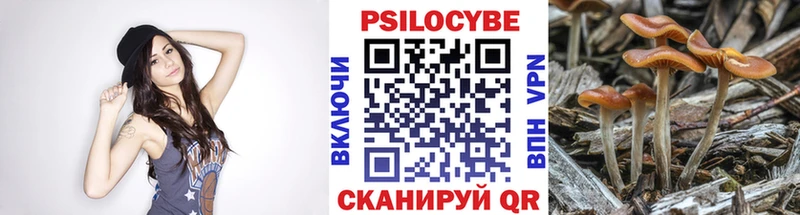 Псилоцибиновые грибы Cubensis  Константиновск 